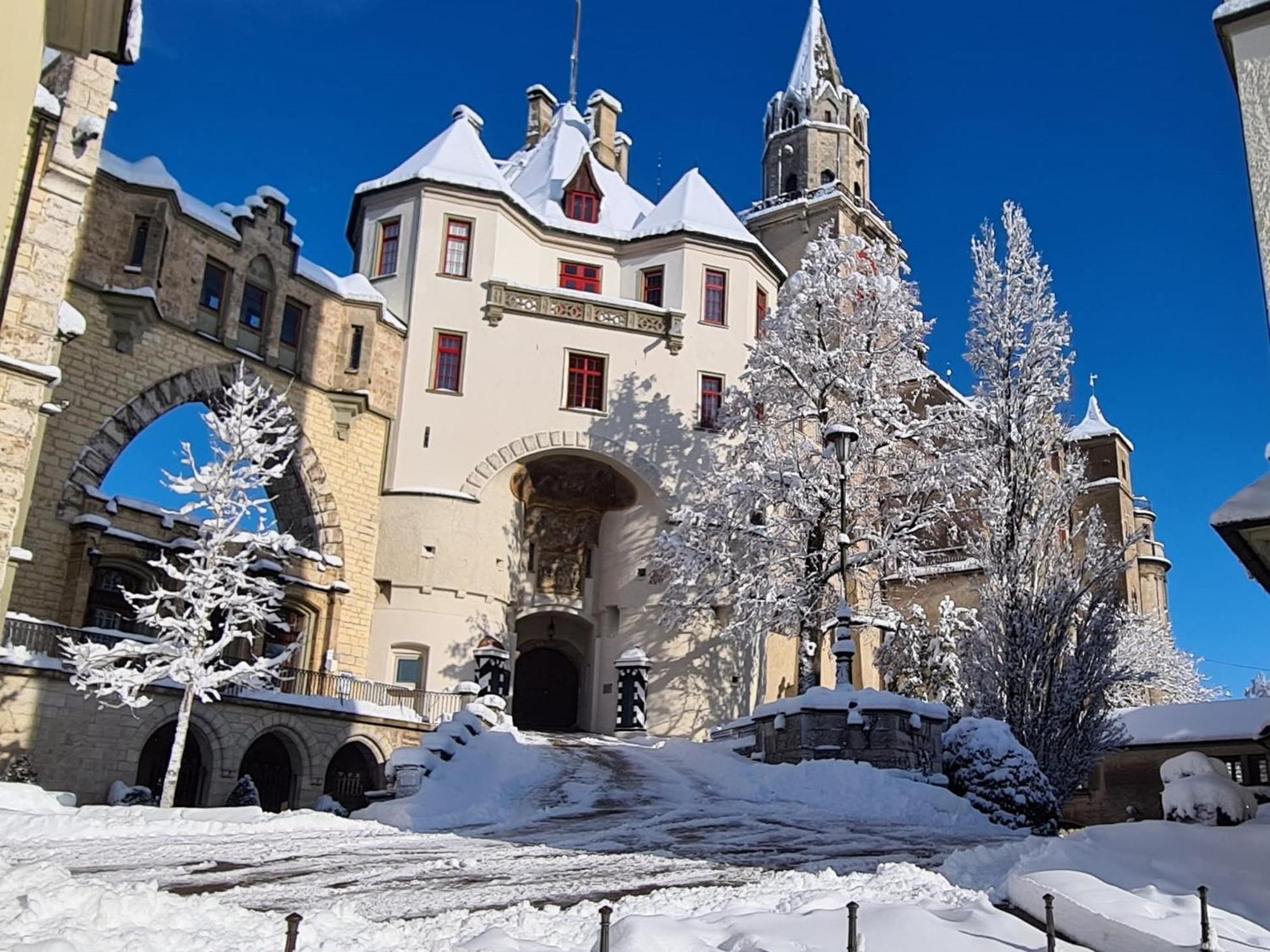 Apartment Am Schloss زيغمارينغن المظهر الخارجي الصورة